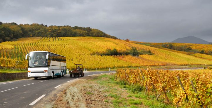 Vnitrostátní autobusová doprava