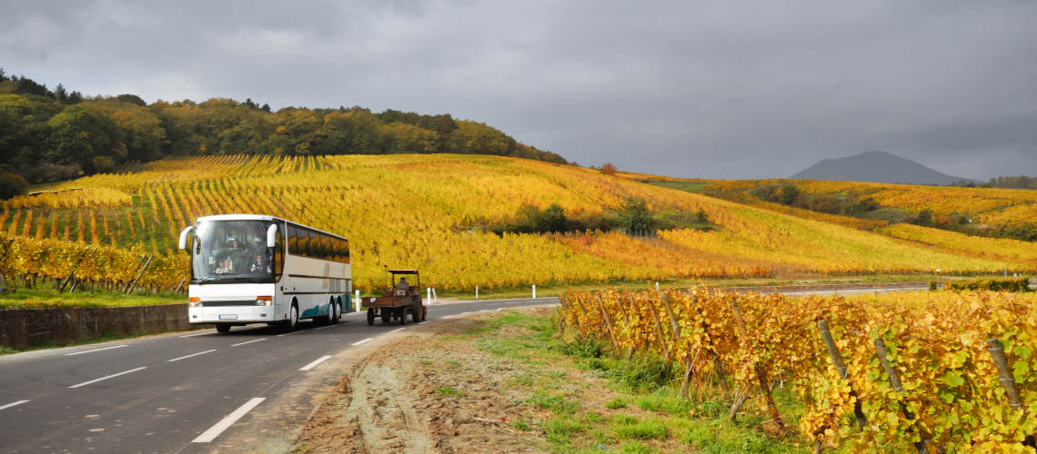 Vnitrostátní autobusová doprava